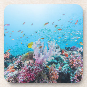 Porta-copo Mergulho autónomo com recife e coral coloridos