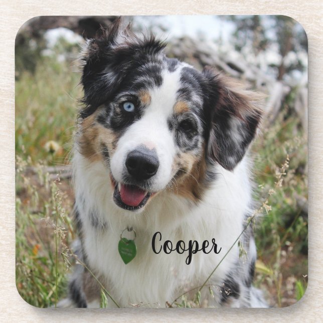 Porta-copo Merle Australian Shepherd Puppy (Frente)