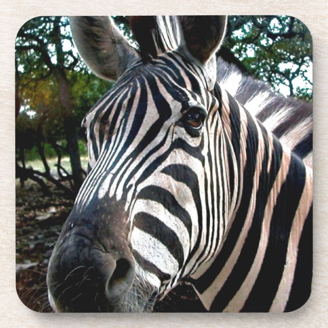 Porta-copo Meu Amigo De Disquete (Frente)