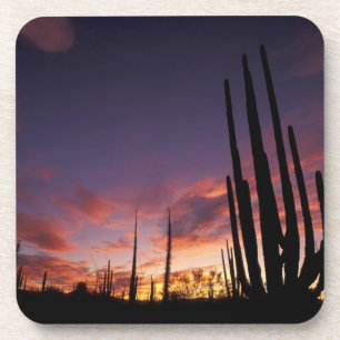 Porta-copo México, Baja del Norte, Parque Nacional Deserto de