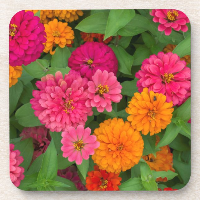 Porta-copo Michigan, Dearborn, Greenfield Village.Close up (Frente)