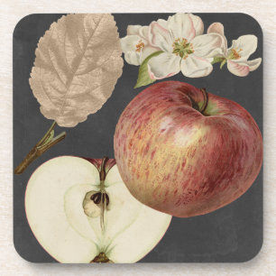 Porta-copo Midnight Harvest II