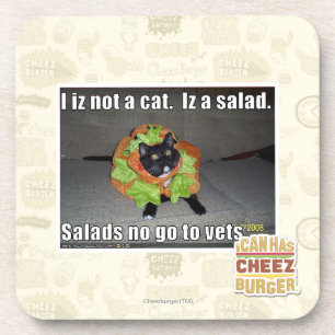 Porta-copo Mim iz não um gato. Iz um salad.