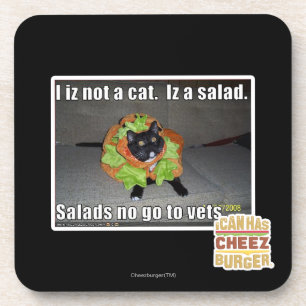 Porta-copo Mim iz não um gato. Iz um salad.