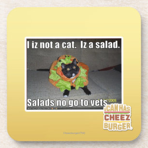 Porta-copo Mim iz não um gato. Iz um salad.