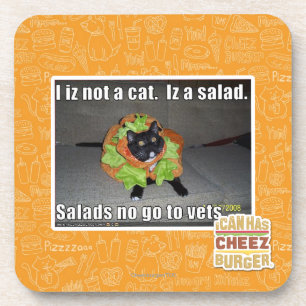 Porta-copo Mim iz não um gato. Iz um salad.