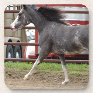 Porta-copo Mini cavalo na classe da liberdade