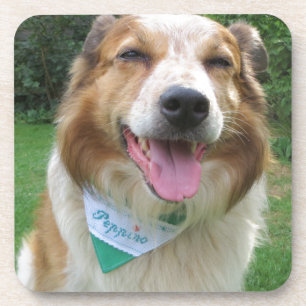 Porta-copo mistura de collie de borda