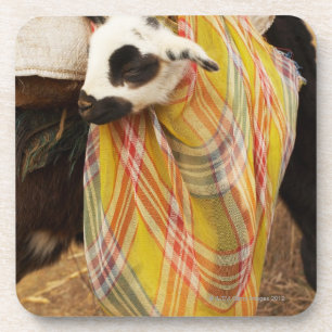 Porta-copo Miúdo em um saddlebag