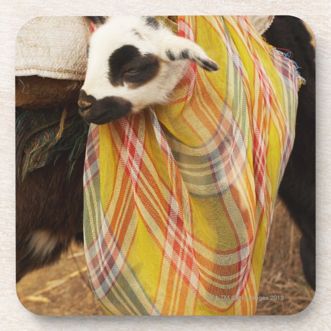 Porta-copo Miúdo em um saddlebag (Frente)