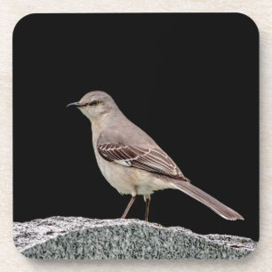 Porta-copo Mockingbird numa tombstone
