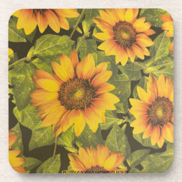 PORTA-COPO MOJISOLA ADEOLA GBADAMOSI