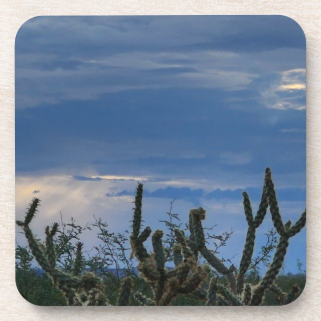 Porta-copo Monção do Deserto de Cactus (Frente)