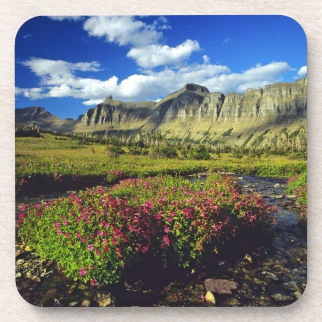 Porta-copo Monkeyflowers em Logan Pass no Glacier National (Frente)