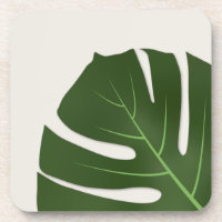 Monstera