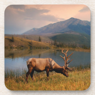 Porta-copo Montanhas Jacques Mountain Range Alberta Canadá