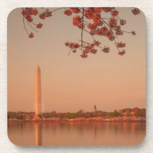 Porta-copo Monumento de Washington Sakura no por do sol