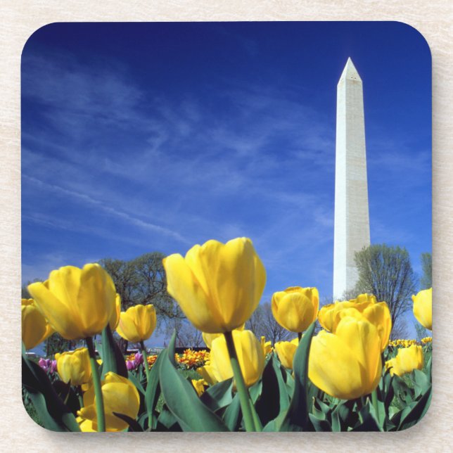 Porta-copo Monumentos | Monumento a Washington em Primavera (Frente)