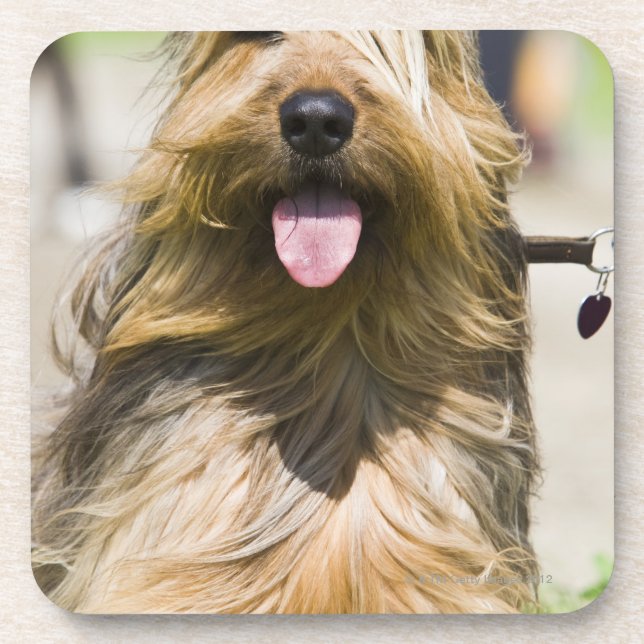 Porta-copo mostrando a língua, cabelo longo, retrato (Frente)