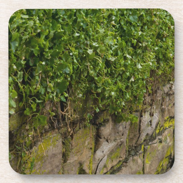 Porta-copo Muro De Ivy (Frente)