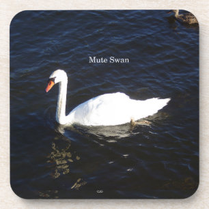 Porta-copo Mute Swan (Mudo) - Conjunto de 6 portas copos plá