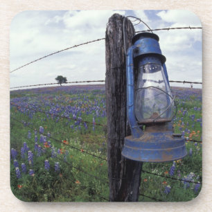 Porta-copo N.A., EUA, Texas, Llano, Lanterna Azul, Carvalho