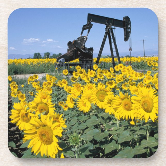 Porta-copo Na, EUA, Colorado, Sunflower, Oil Derrick (Frente)