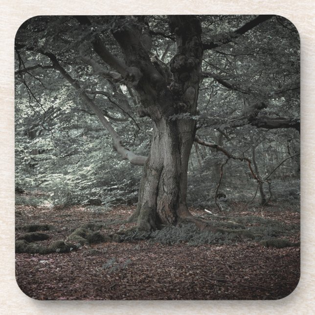 Porta-copo Na floresta de conto de fadas (Frente)