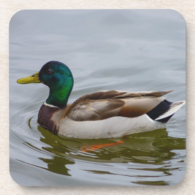 Porta-copo Nadar Mallard Nadar (Frente)