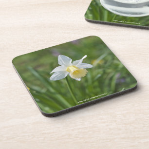 Porta-copo Narciso