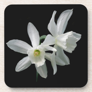 Porta-copo Narciso branco