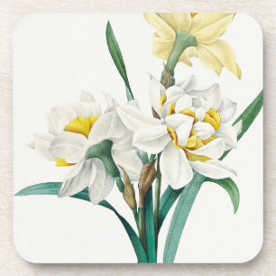 Porta-copo Narciso Duplo, Pierre-Joseph Redouté, 1827