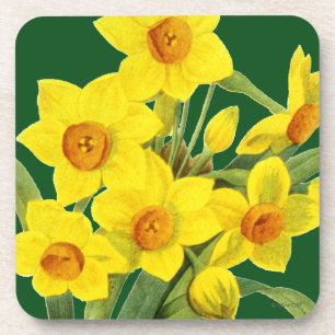 Porta-copo Narciso (N Tazetta)