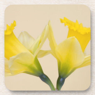 Porta-copo Narcisos amarelos