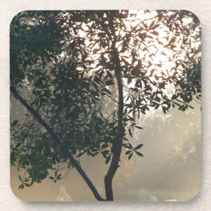 Porta-copo nascer do sol da manhã nebuloso