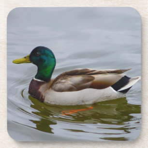 Porta-copo Natação Mallard Natação