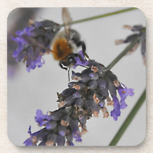 Porta-copo Natures WonMaravilha Workers