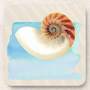 Porta-copo Nautilus Seashell e Sand