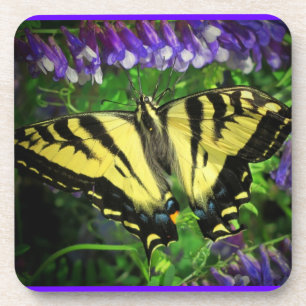 Porta-copo Néctar do Bluebell para o almoço da borboleta
