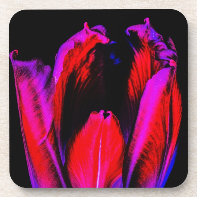 Porta-copo Neon Glow Tulip (Frente)