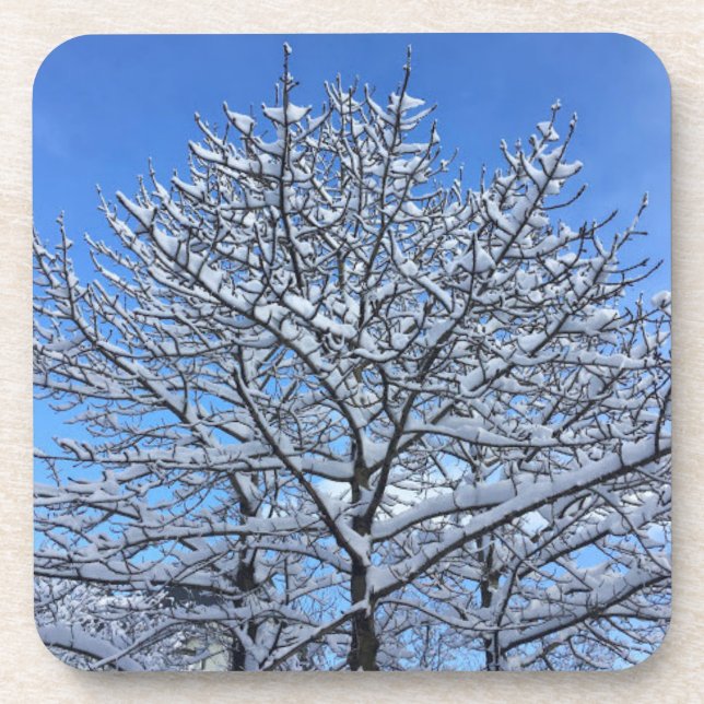 Porta-copo Neve da Islândia - (Frente)