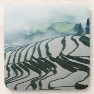 Porta-copo Névoa da manhã acima dos campos do arroz