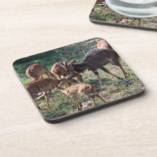 Porta-copo Niala na Natureza – Obra de Arte de Animal African