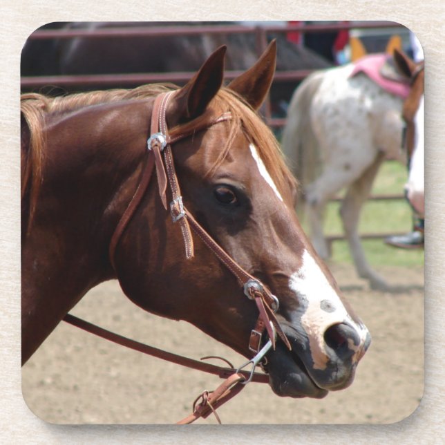 Porta-copo No Horse Show (Frente)