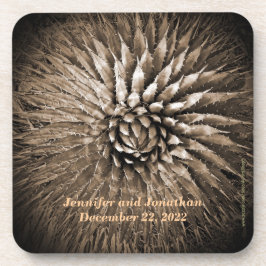 Porta-copo Nome, Sudoeste Agave Sepia Tan Brown