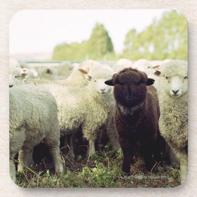 Porta-copo Nova Zelândia (Frente)