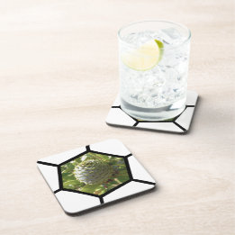 Porta-copo Nova Zelândia Souvenir Kauri Cone