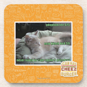 Porta-copo Nunca vivendo em uma gaiola outra vez