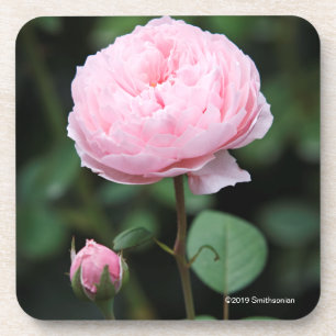 Porta-copo O castelo de Alnwick aumentou