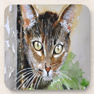 Porta-copo O Curioso Tabby Cat - Pintura em acrílico